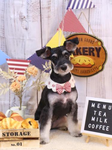 20240915音ちゃん